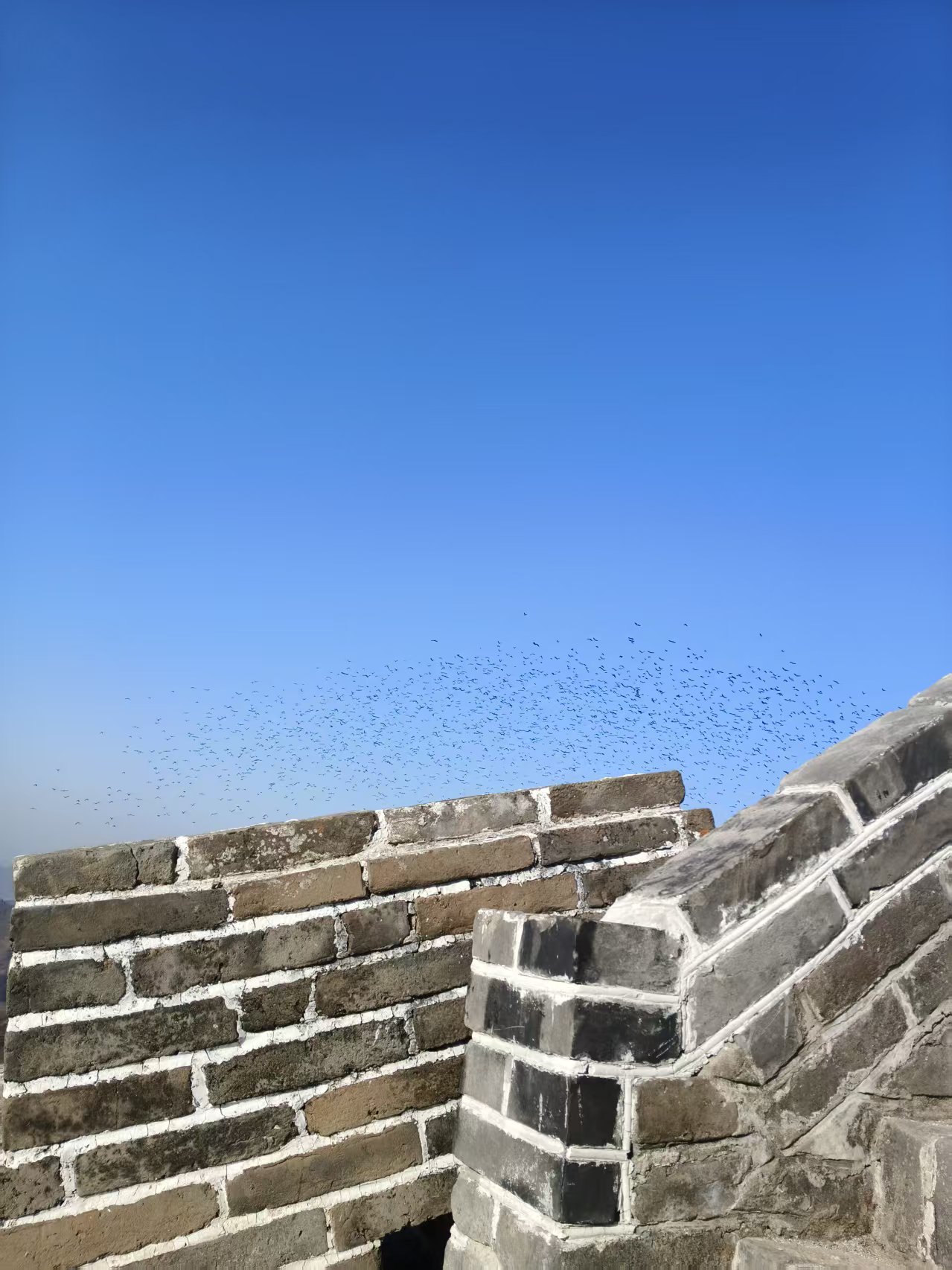 9 ΢��ͼƬ_20260225101701_8_497.jpg