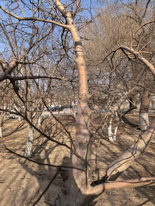 01 ΢��ͼƬ_20260220111615_178_12_����.jpg