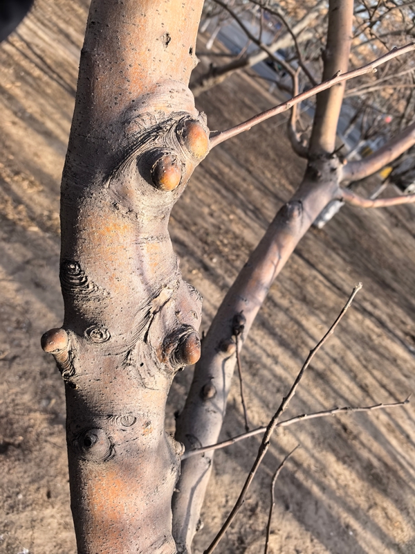 02 ΢��ͼƬ_20260220111239_173_12_����.jpg