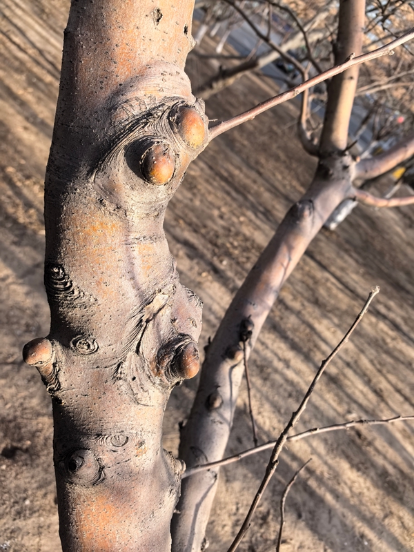 03 ΢��ͼƬ_20260220111303_177_12_����.jpg