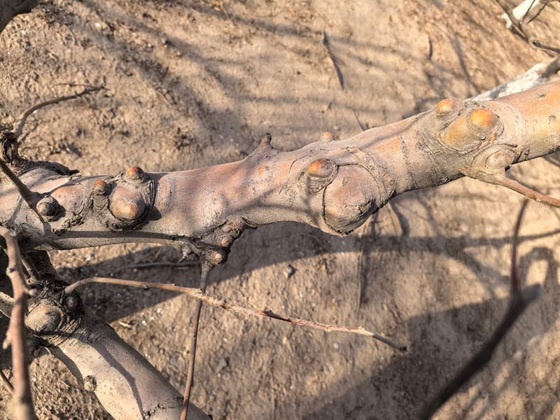 04 ΢��ͼƬ_20260220111253_176_12_����.jpg