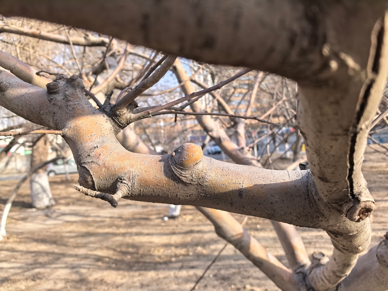 05 ΢��ͼƬ_20260220111214_166_12_����.jpg