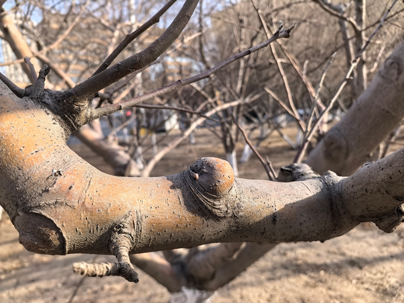 06 ΢��ͼƬ_20260220111210_163_12_����.jpg