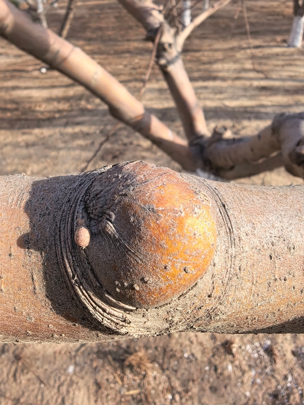 10 ΢��ͼƬ_20260220111213_165_12_����.jpg