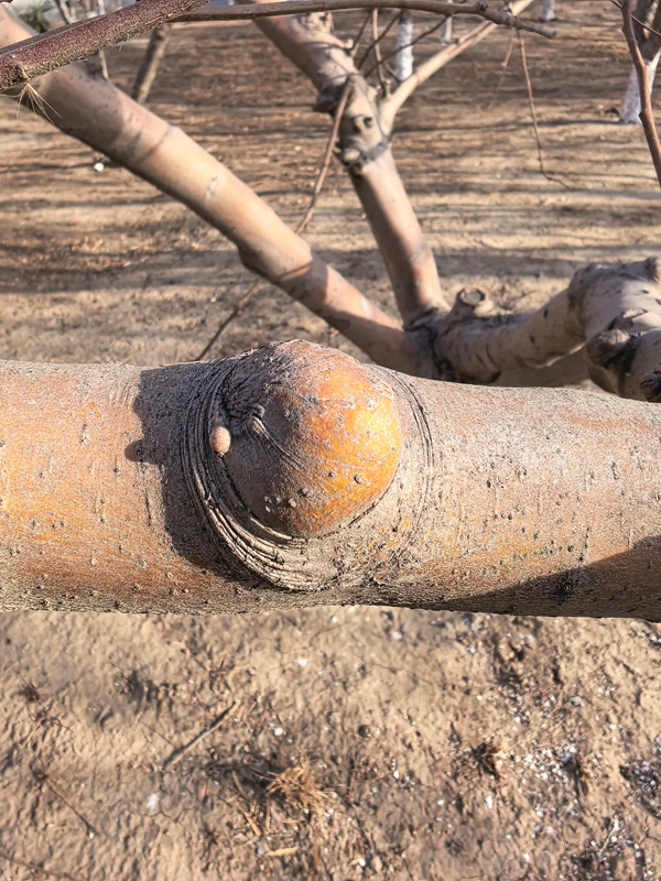 09 ΢��ͼƬ_20260220111207_161_12_����.jpg