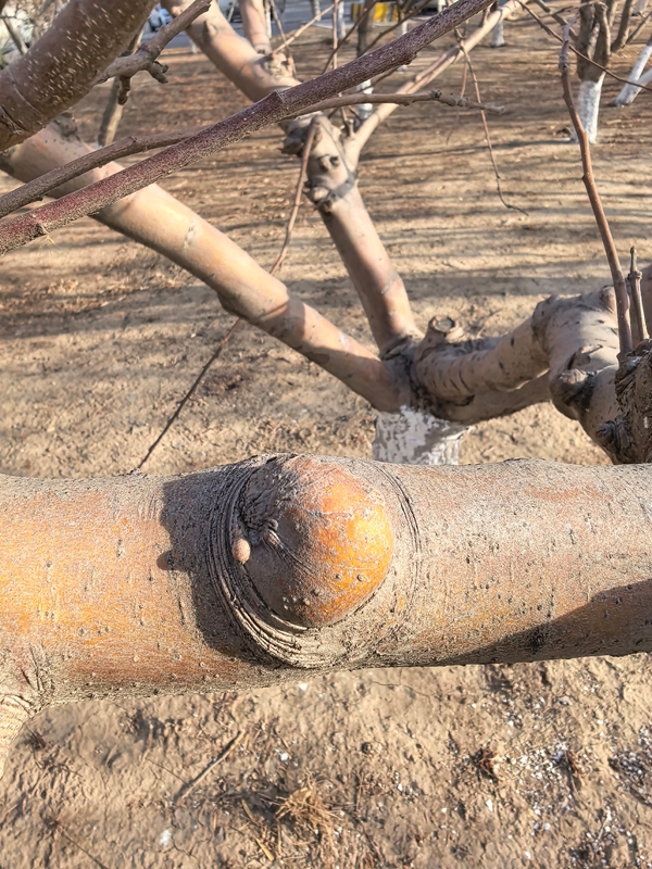 08 ΢��ͼƬ_20260220111211_164_12_����.jpg