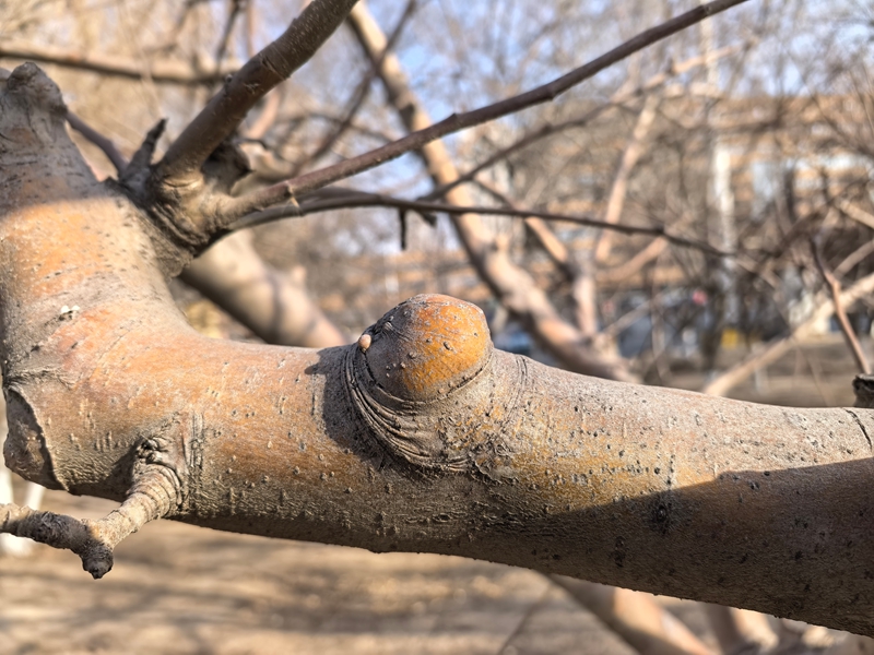 07 ΢��ͼƬ_20260220111208_162_12_����.jpg