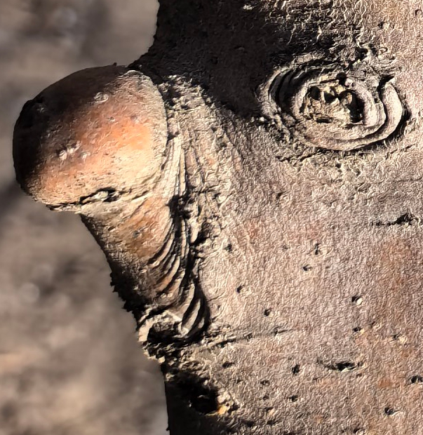 03 ΢��ͼƬ_20260220111303_177_12_����22.jpg