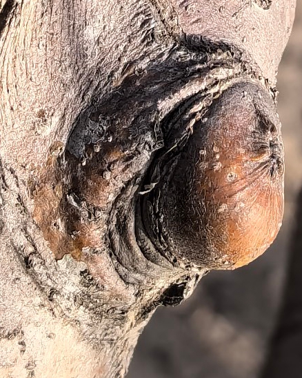 03 ΢��ͼƬ_20260220111303_177_12_����33.jpg