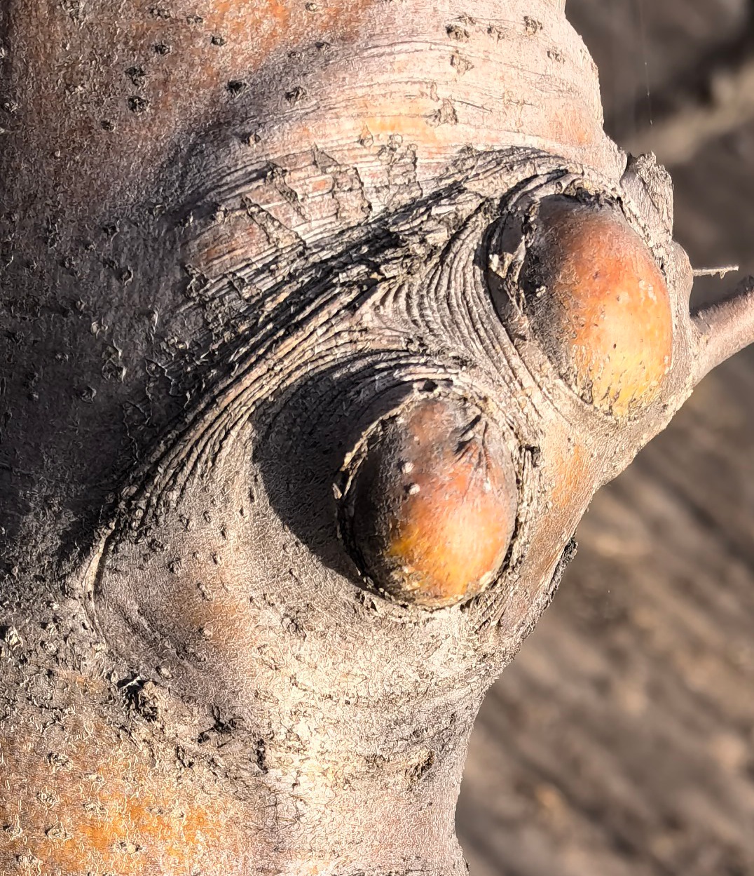 03 ΢��ͼƬ_20260220111303_177_12_����11.jpg