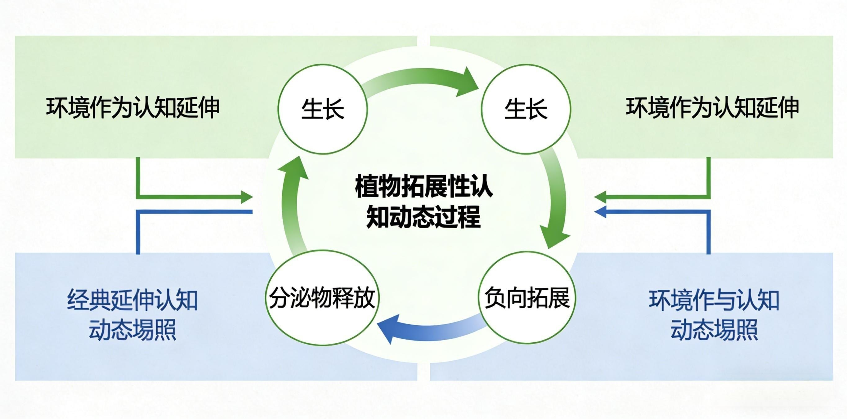 ͼ6 ֲ����չ����֪�뾭��������֪��֤��ϵģ��.png