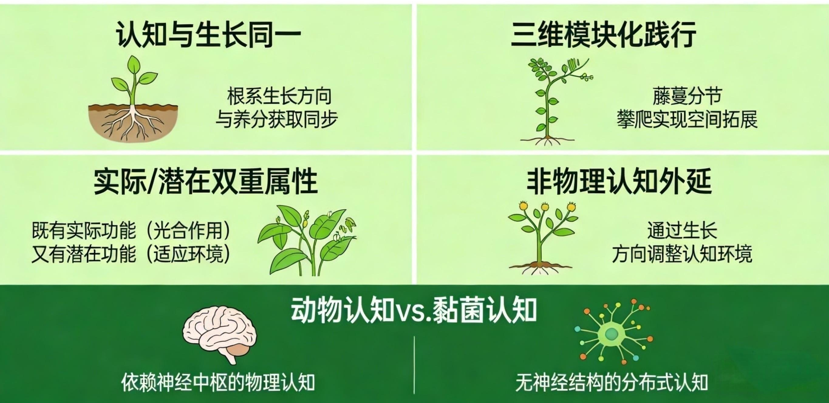 ͼ2 ֲ����չ����֪��������ʾ��ͼ����.png