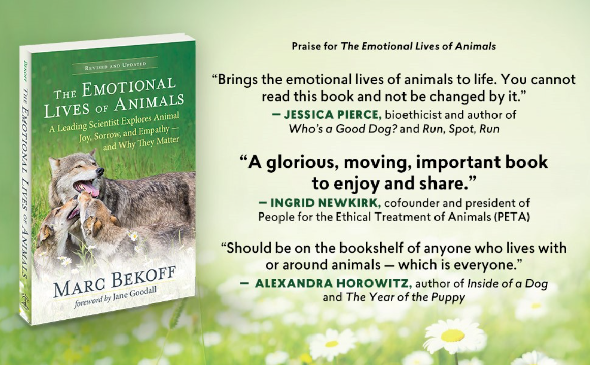 ͼ 5�������������2007�����2024���ٰ�.png