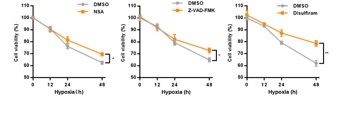 Necrosulfonamide�� MLKL��GSDMD���Ƽ�����ϸ����������֢��������.png