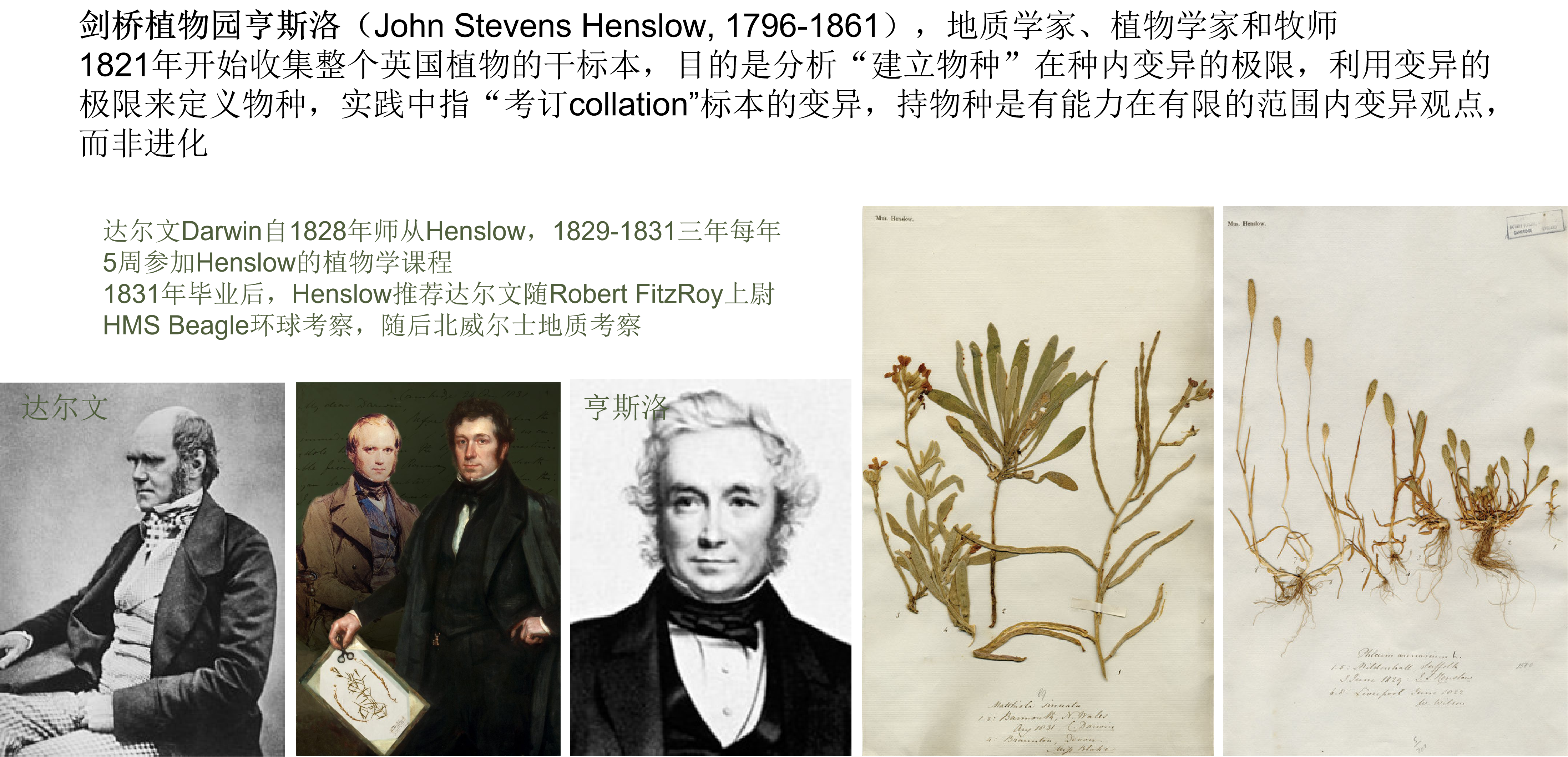 ͼ8 ����ֲ��԰��˹��.png