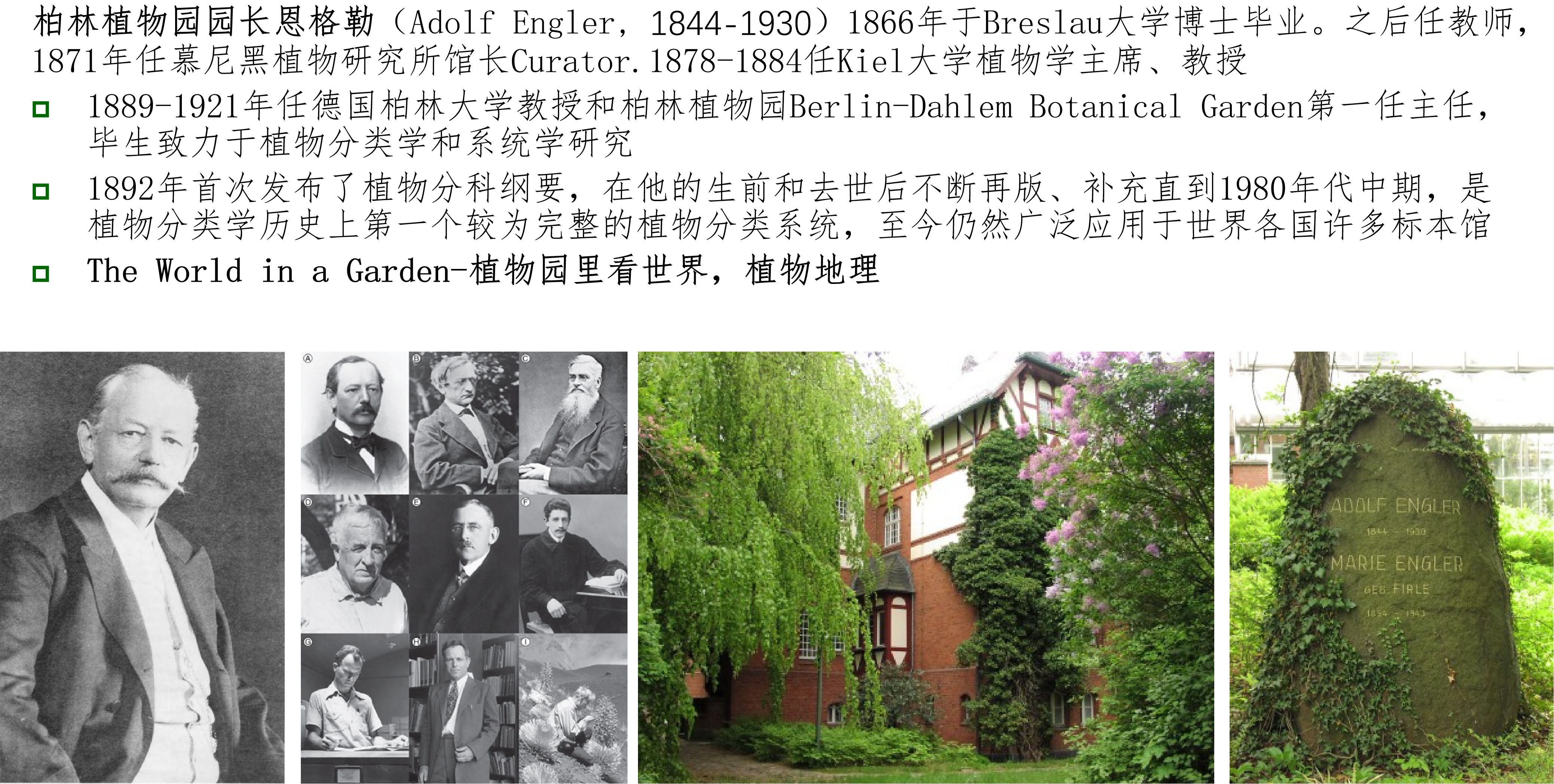 ͼ9 ����ֲ��԰԰��������.png