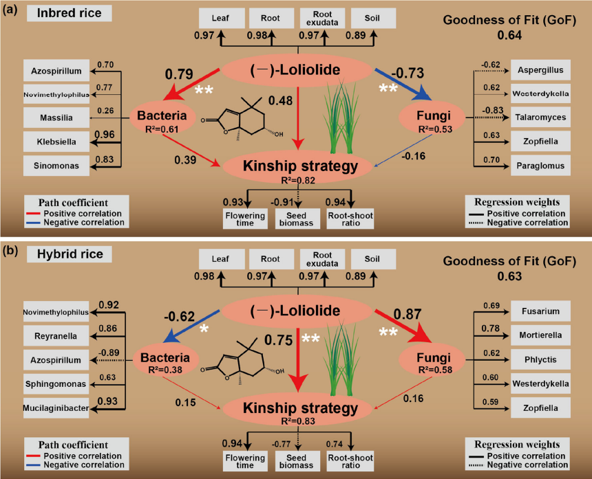 ͼ4 ��ͬ��Ե��ϵˮ��Ʒ�ֶԻ�������΢������ص�Ӱ�죨a .png