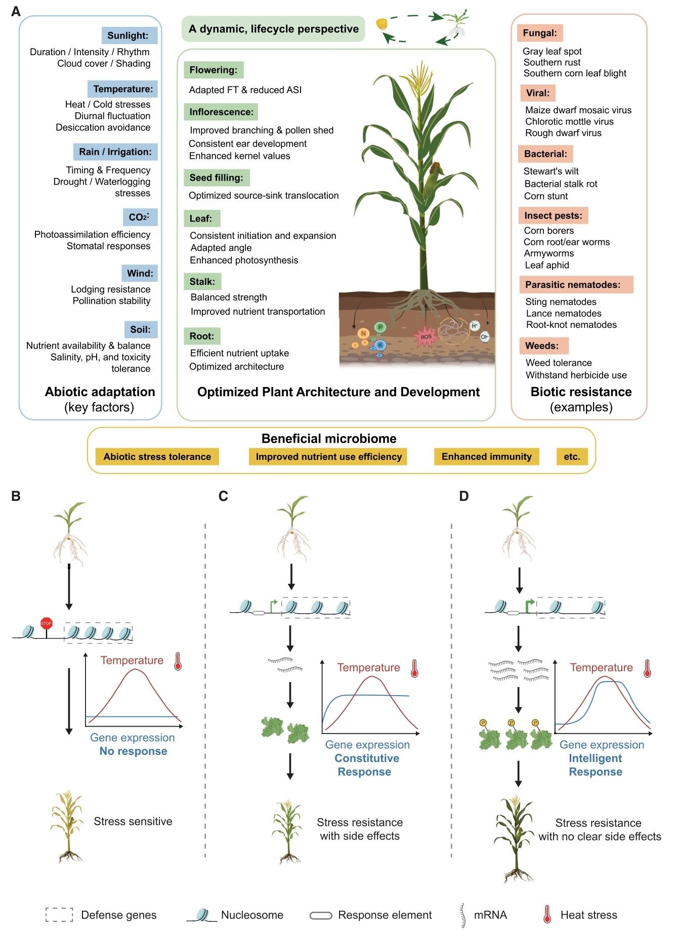 ͼ2. ��������Ŀ���������ͼ Figure 2. Holistic view of maize breedin.jpg