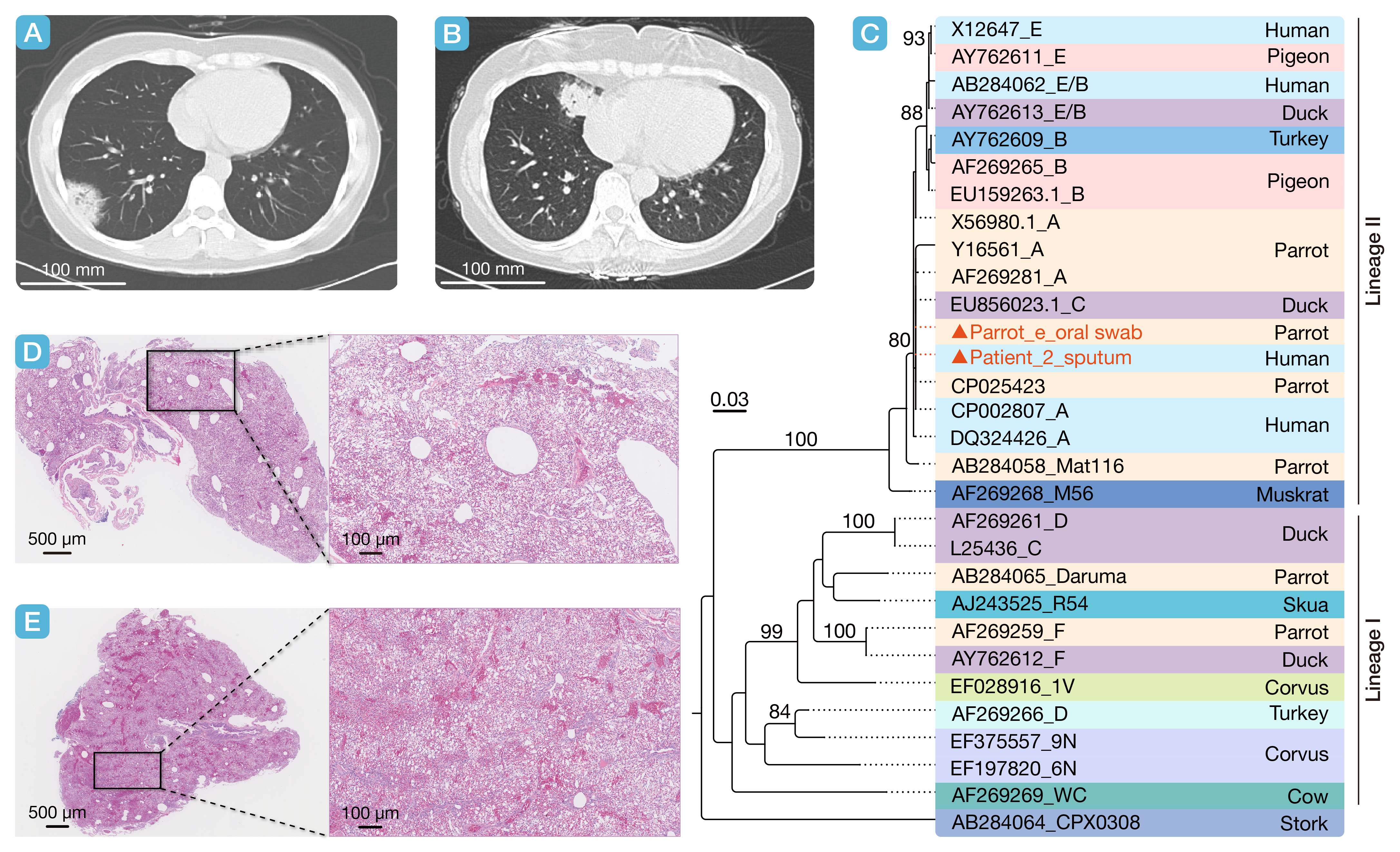 HLIFE-D-25-00174-Letter-����_Fig.2 (2 column).jpg