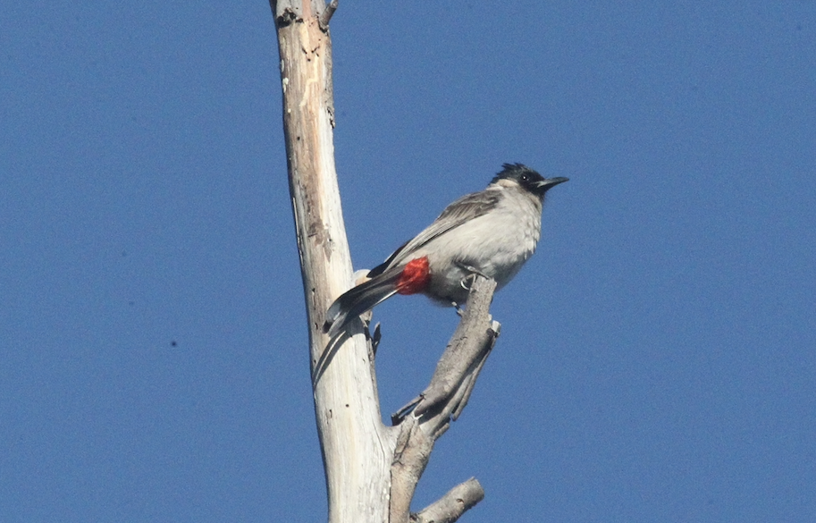 �������β� ������2026-02-04.jpg