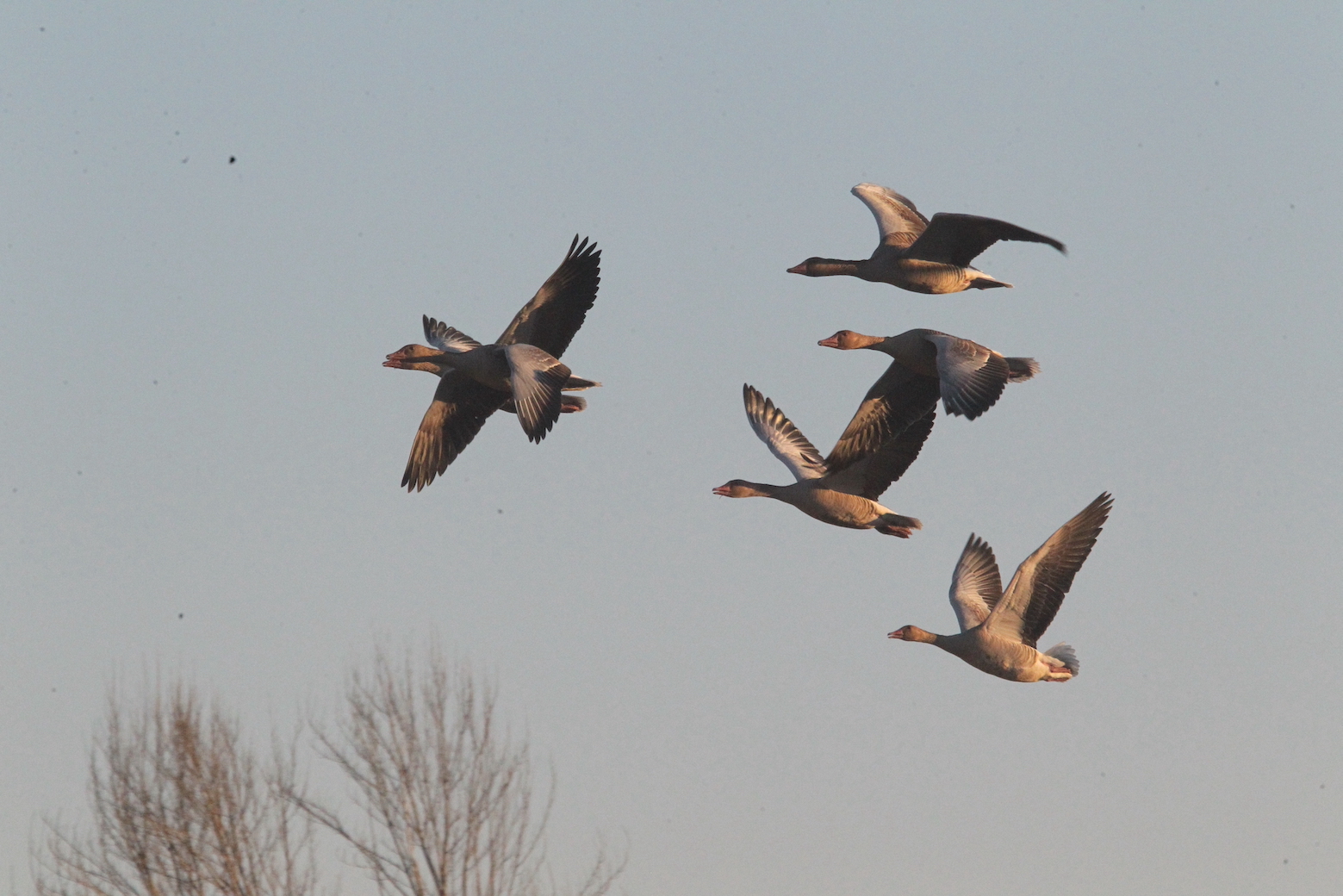 ���� ����_3527.JPG