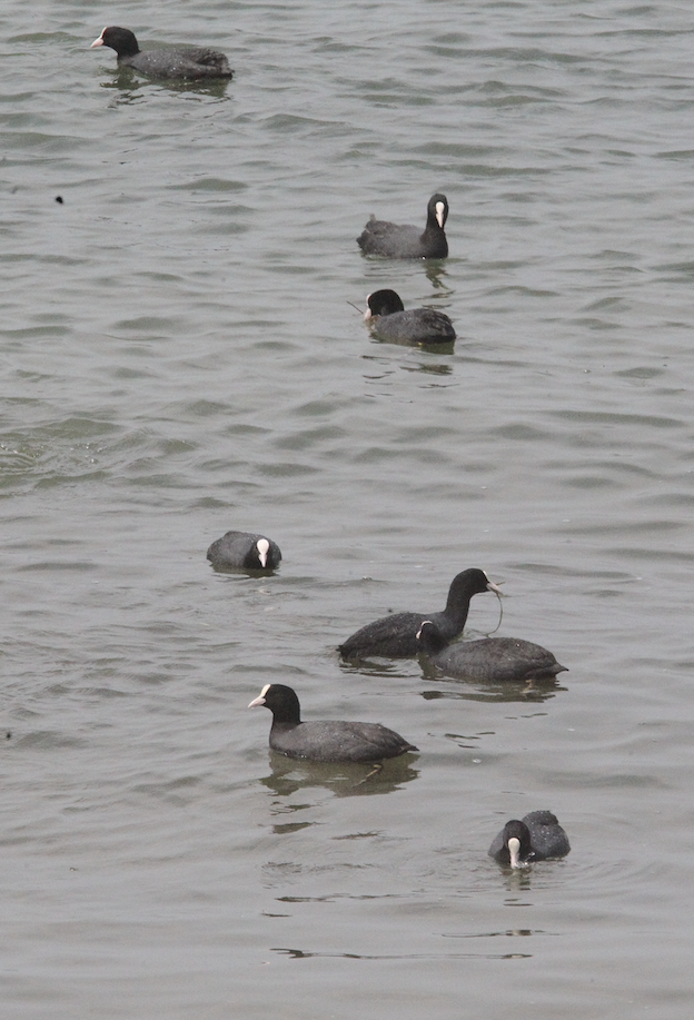 �Ƕ��� ������2026-03-07.jpg