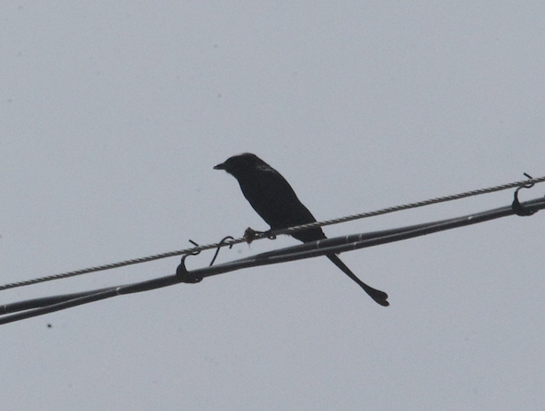 �ھ�β ������ ������2026-03-11.jpg