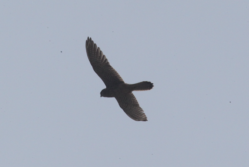 ���� ������ ������2026-03-11.jpg