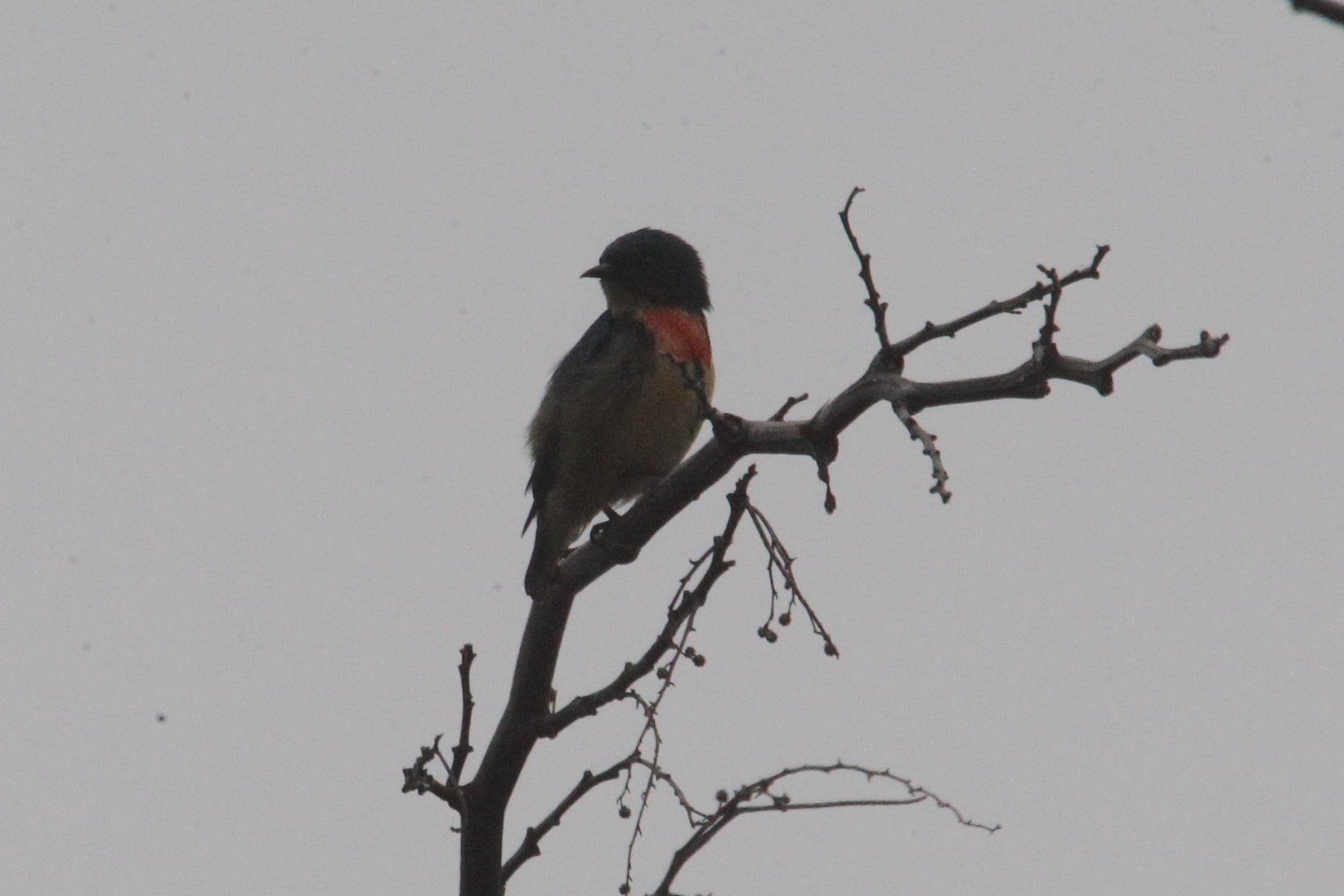 �����Ļ��� ������_8813.JPG