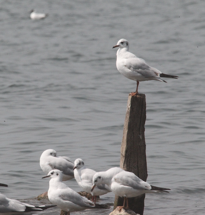 ����Ÿ ���� ������ 2026-03-07.png