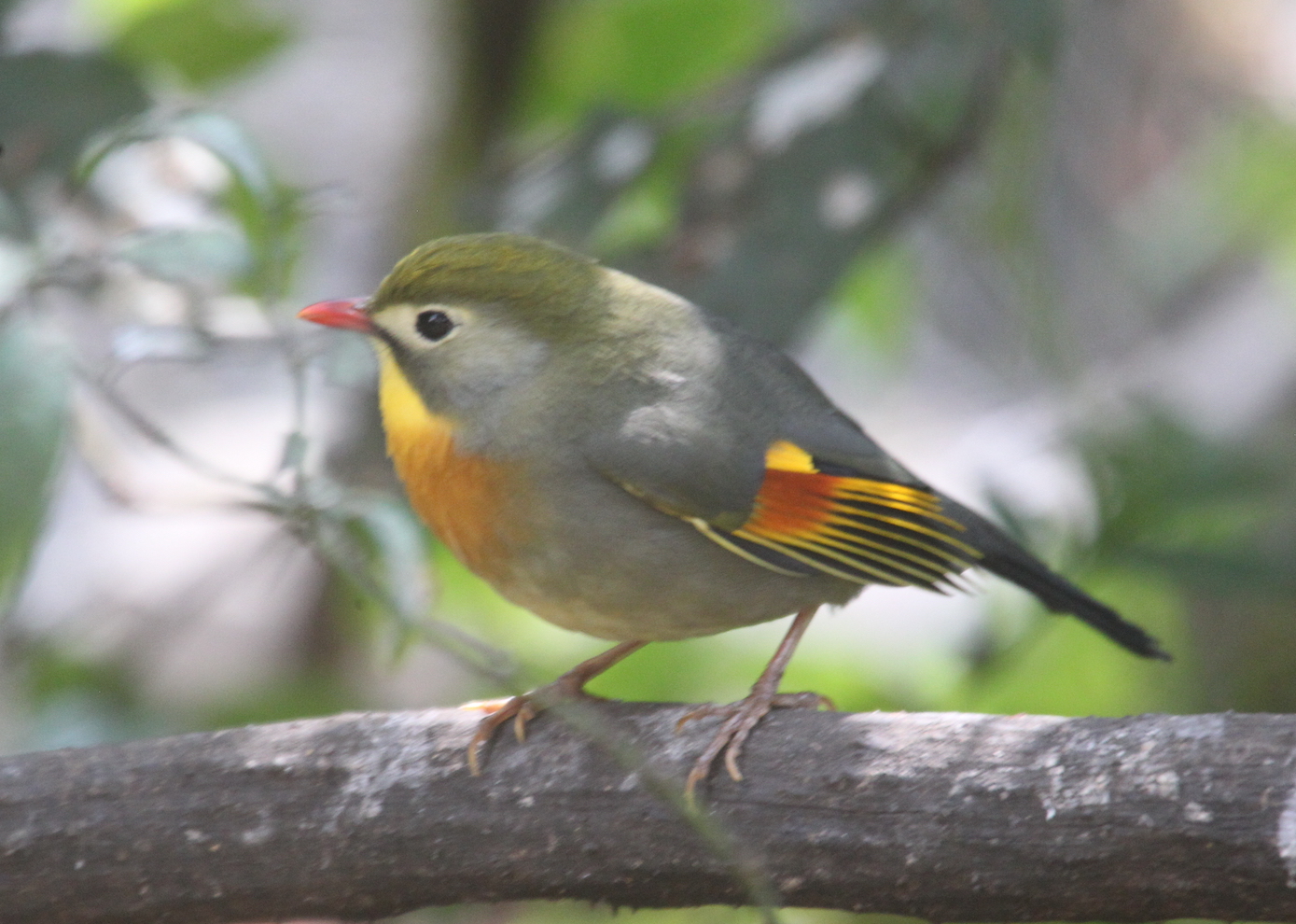 ������˼�� ��˫���� ������_8091.JPG