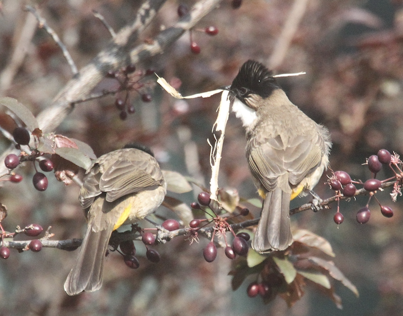 ������ ������ ����2026-03-13.png