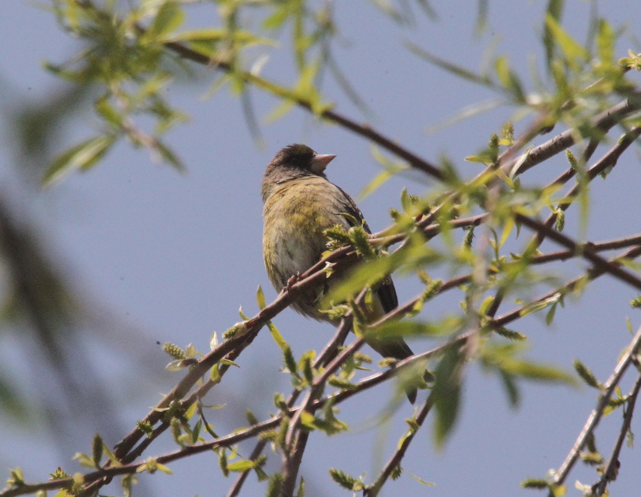 ���ȸ ������_8940.JPG