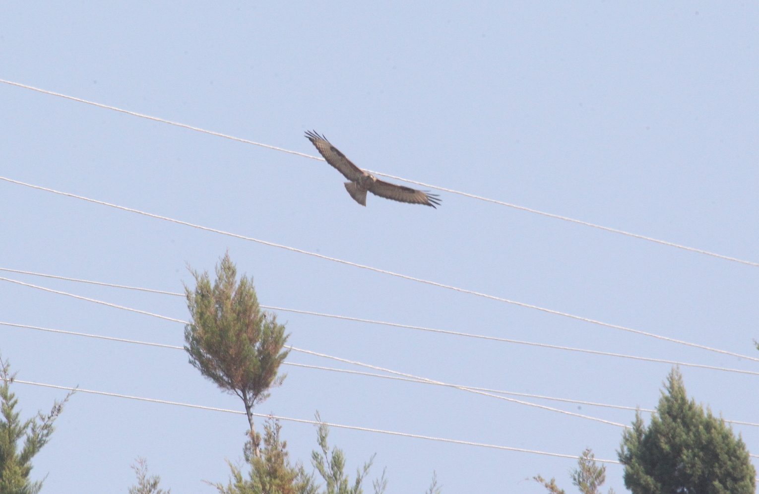 �ѵ�һ�� ������_8968.JPG