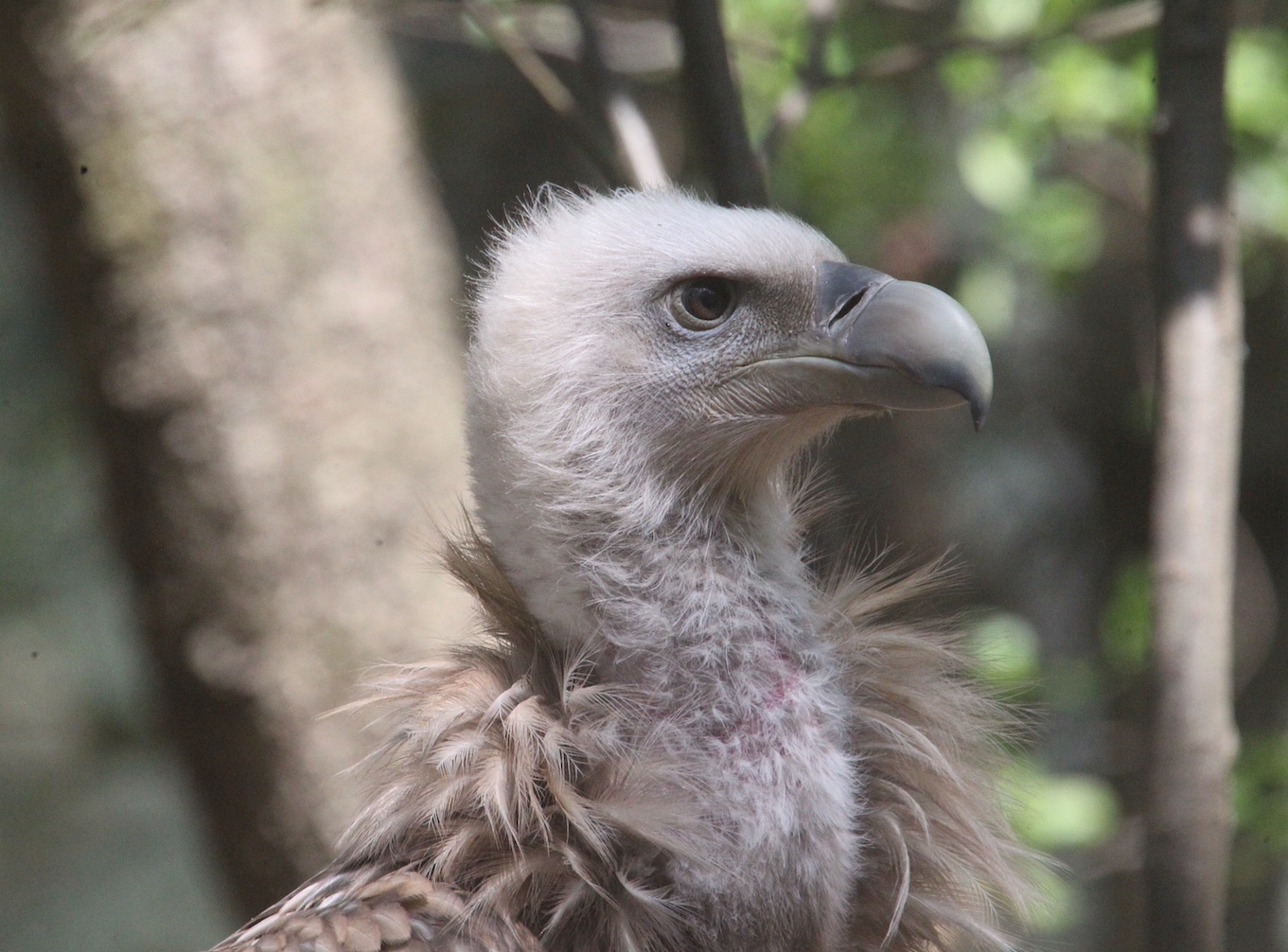 أ�� ������_8367.JPG