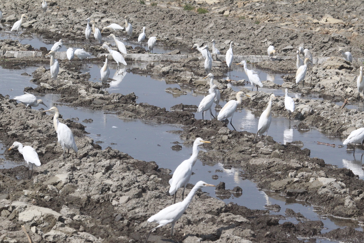 ���ܼ��־�֢ ������_9036.JPG