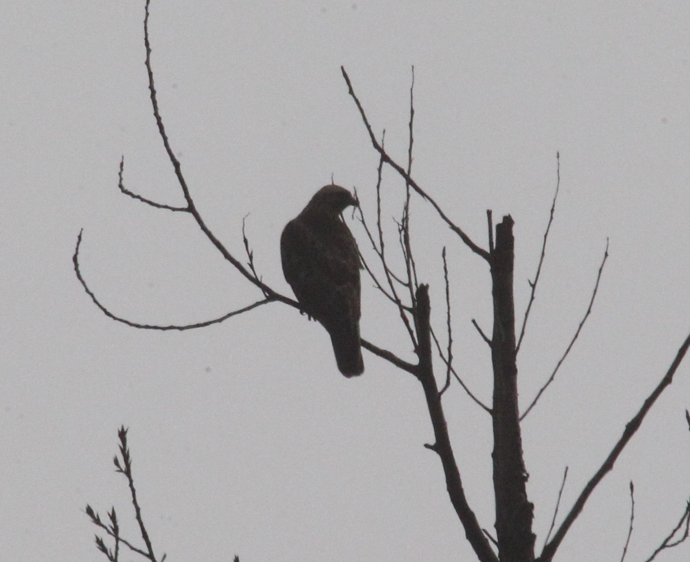 ����һ���������� ������_8882.JPG