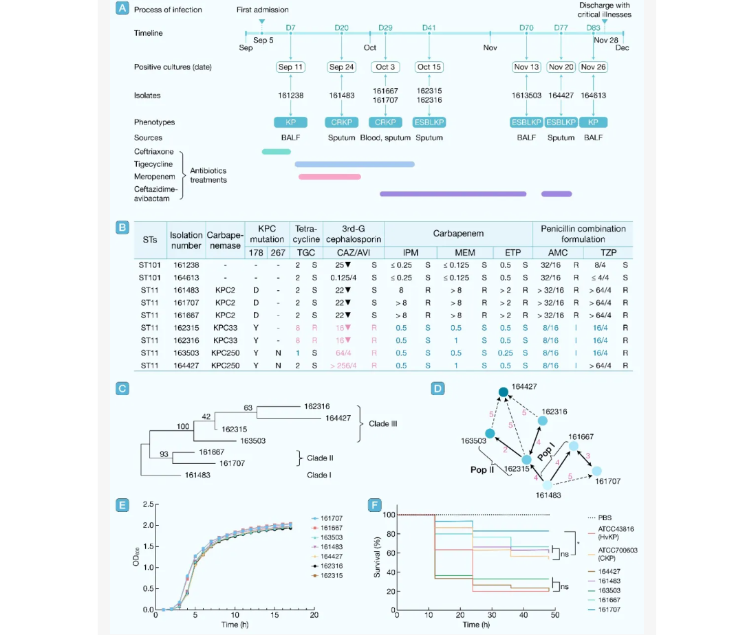 ��Ļ��ͼ 2026-03-16 155619.png