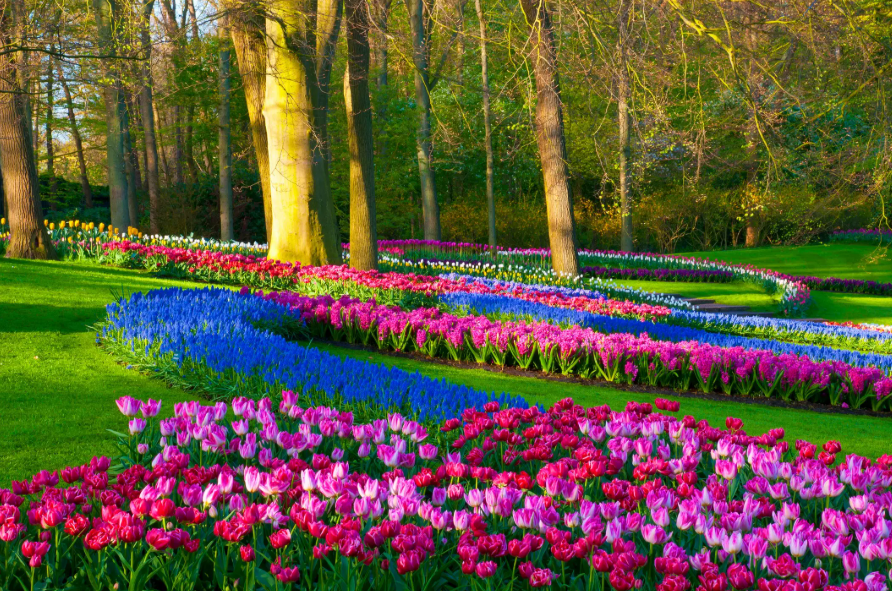 ͼ1 ���������㻨�����ͼ��5.png