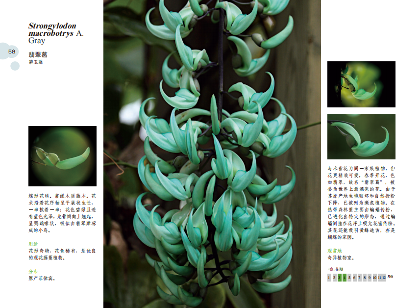 ���� �ԡ��»��� �������������ƺ������ࣨ2018��.png