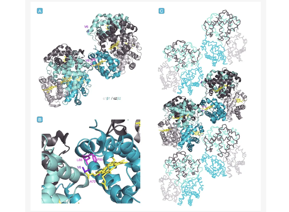 ��Ļ��ͼ 2026-03-17 165917.png