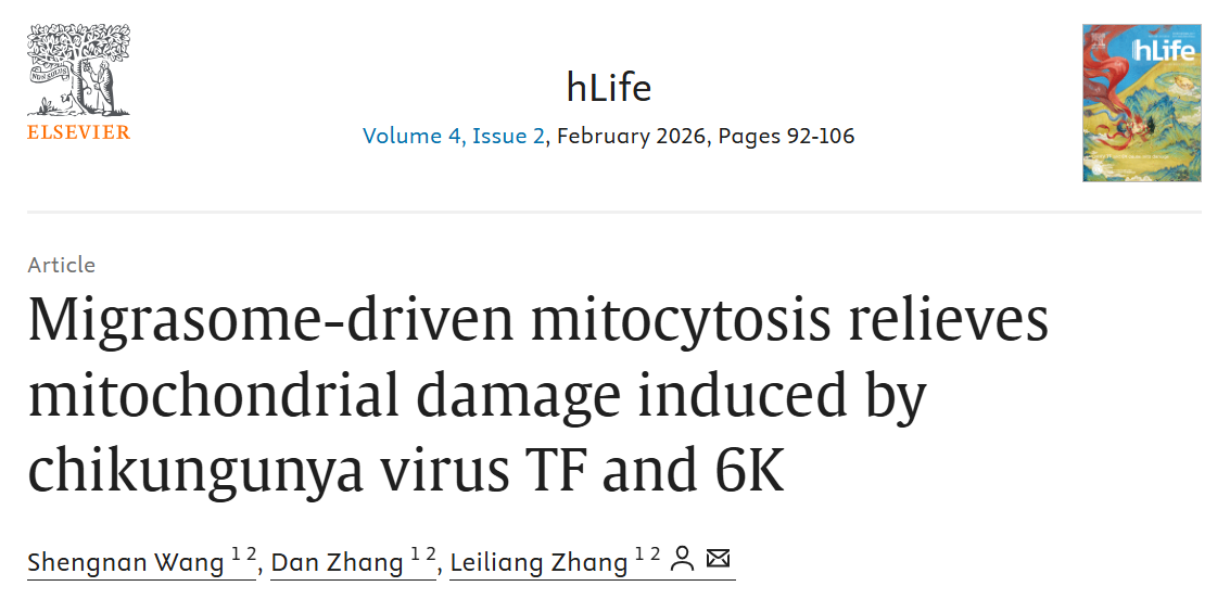 ��Ļ��ͼ 2026-02-26 083636.png