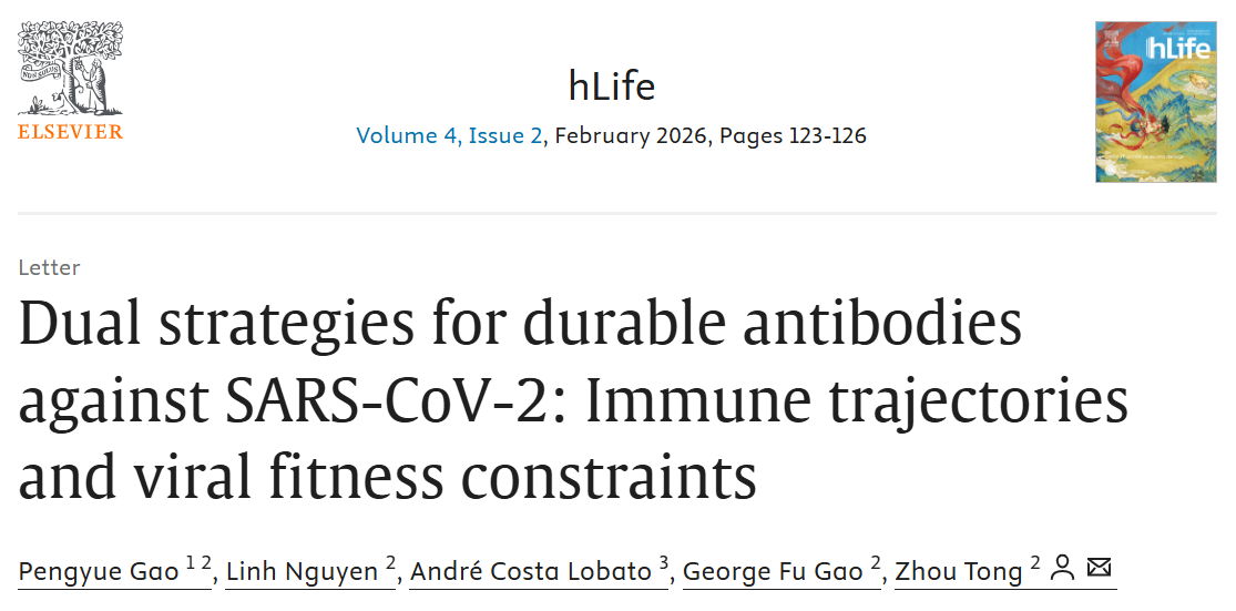 ��Ļ��ͼ 2026-02-26 083704.png