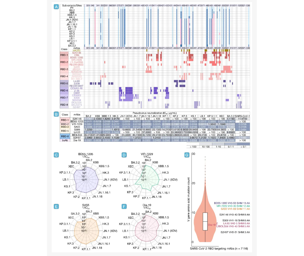 ��Ļ��ͼ 2026-03-17 170122.png