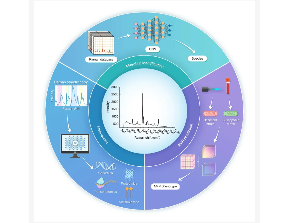 ��Ļ��ͼ 2026-03-18 115008.png