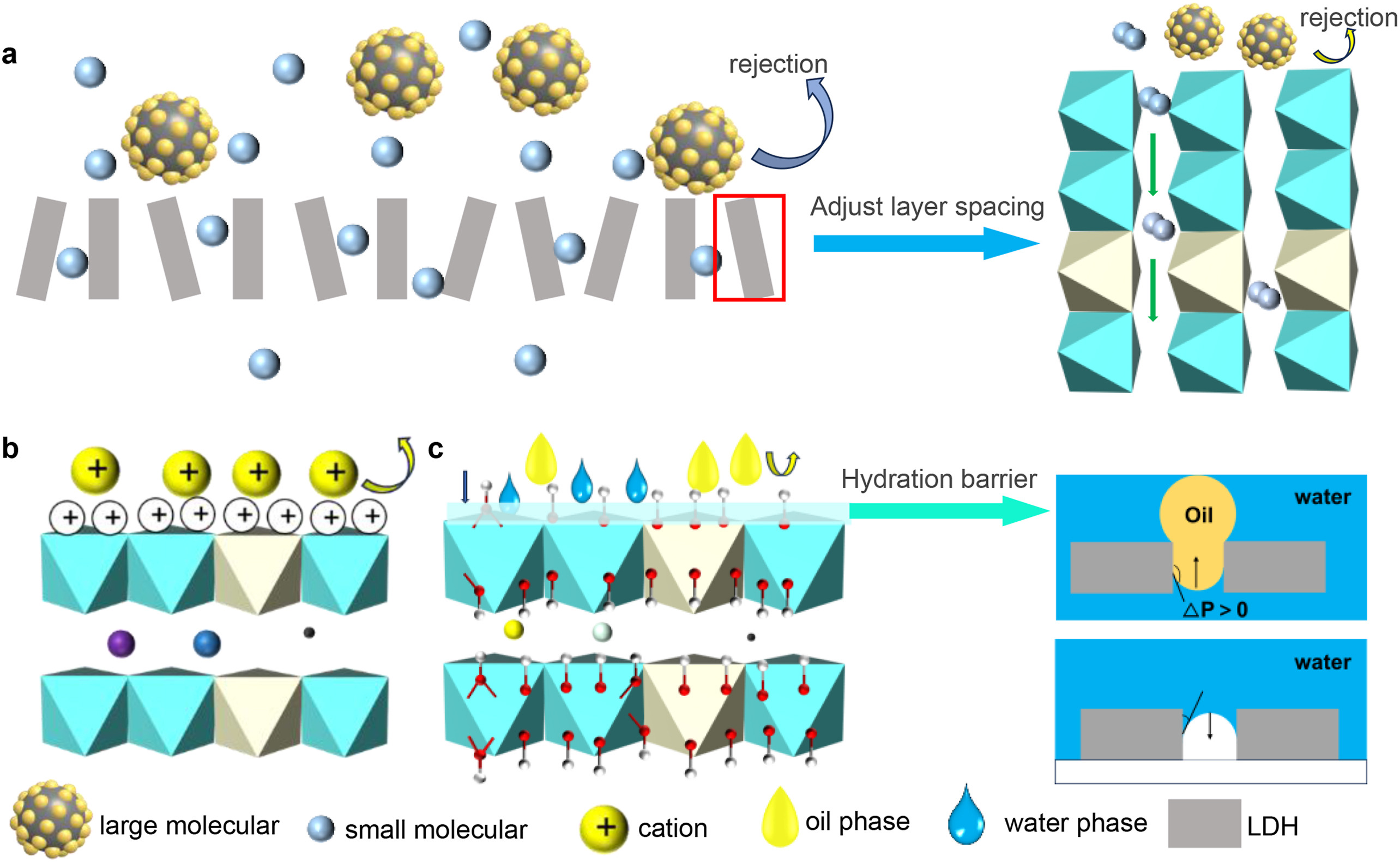 1-s2.0-S2666952826000142-gr3_lrg.jpg 1-s2.0-S2666952826000142-gr3_lrg.jpg