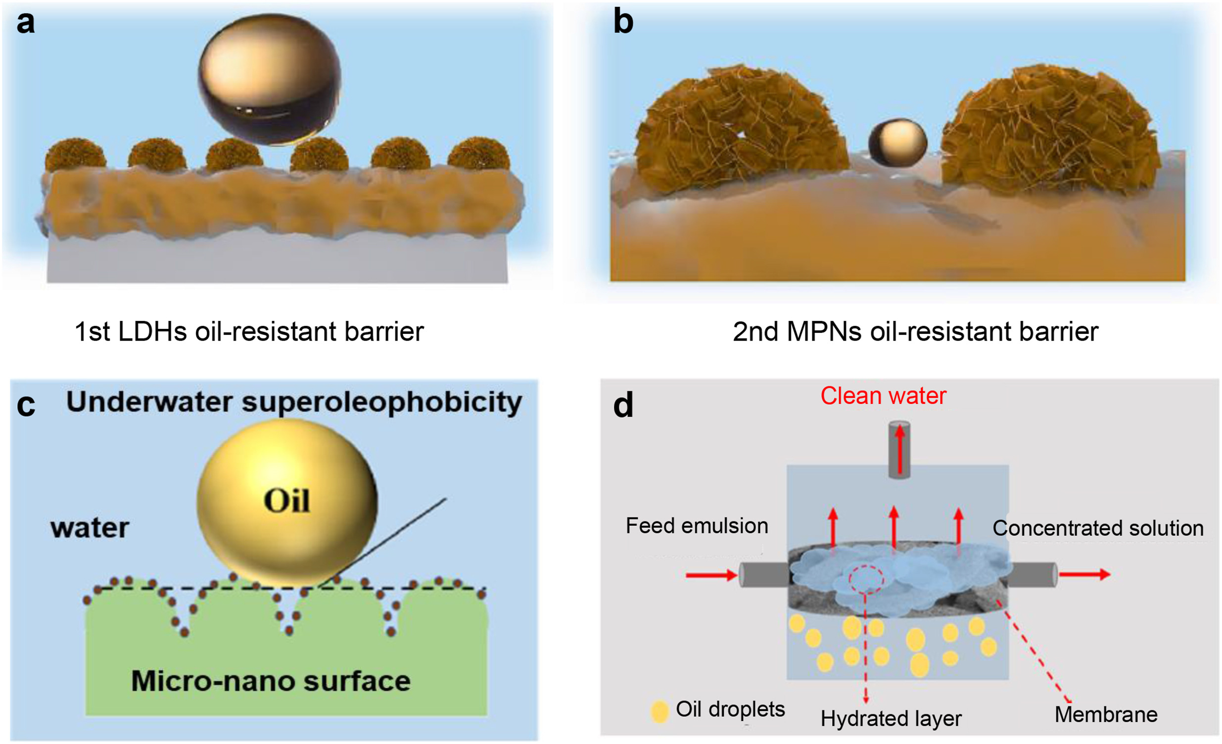 1-s2.0-S2666952826000142-gr5_lrg.jpg 1-s2.0-S2666952826000142-gr5_lrg.jpg