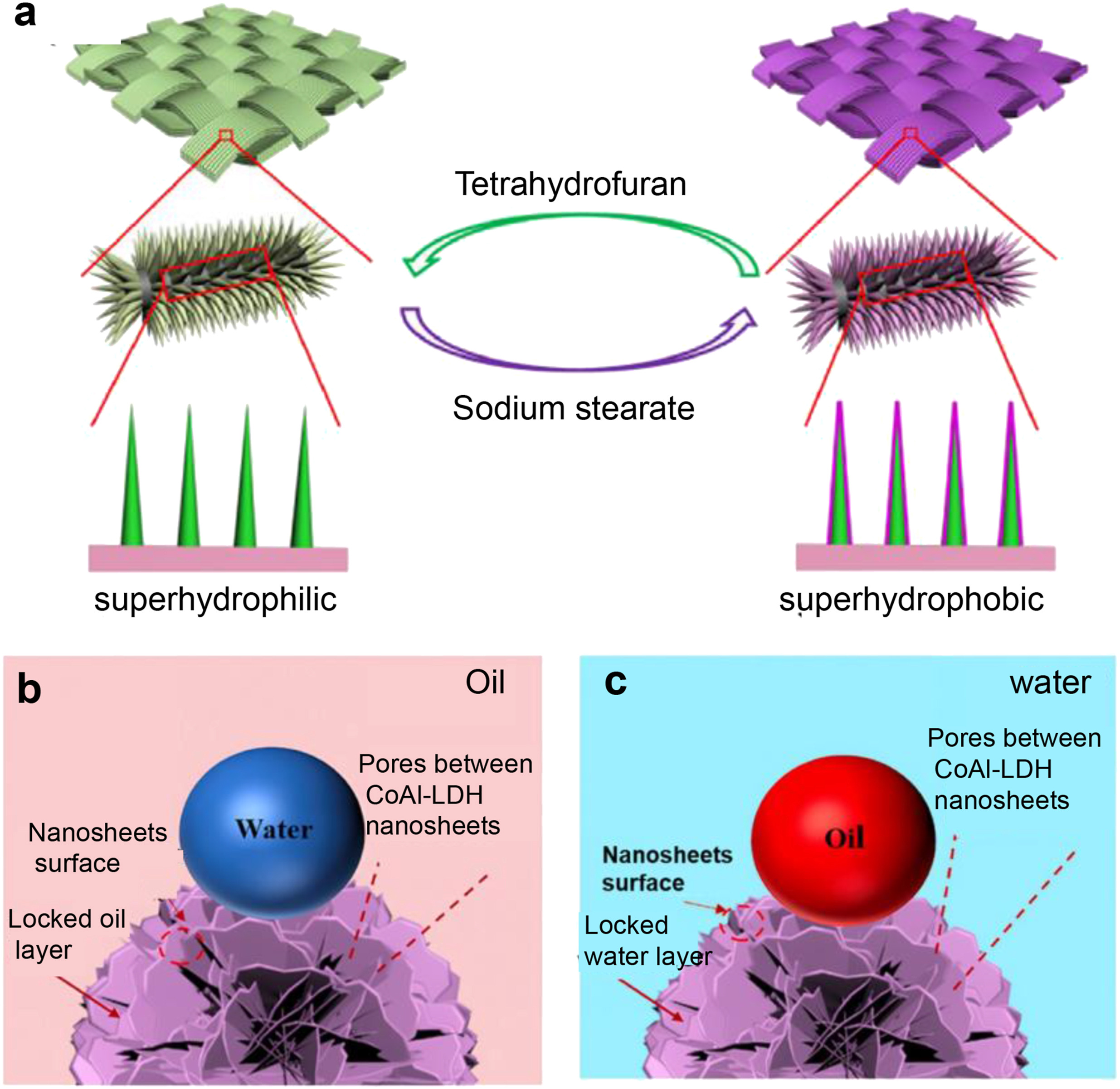 1-s2.0-S2666952826000142-gr7_lrg.jpg 1-s2.0-S2666952826000142-gr7_lrg.jpg