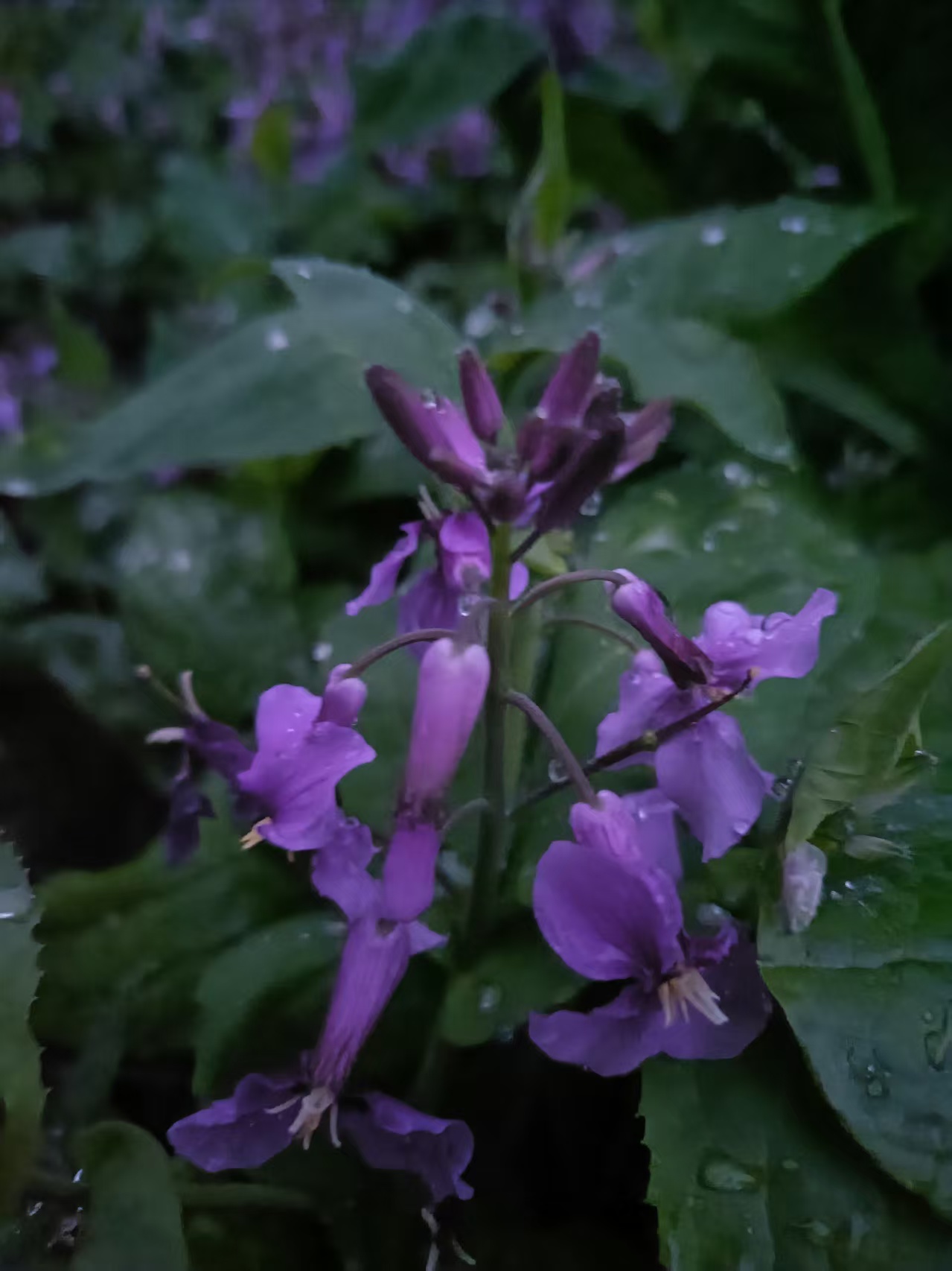 微信图片_20260320090805_510_93.jpg 微信图片_20260320090805_510_93.jpg