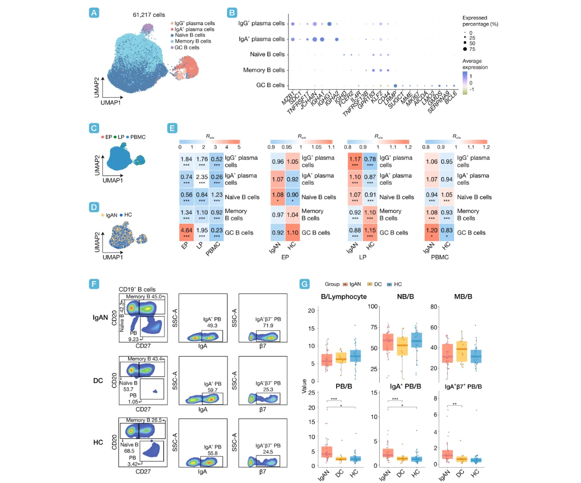 ��Ļ��ͼ 2026-03-20 165334.png